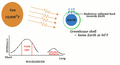 solar-radiation.gif><br><ul>
      <li>If there were no greenhouse effect, the average temperature on the        earth would be 0°F with huge fluctuations in a 24 hour period.</li>      <li>When visible light from the sun hits the earth some is absorbed,        heating the earth.   The heated earth gives off infrared        radiation characteristic of the 60o F temperature. This longer        wavelength infrared radiation  is then reradiated back into space.        Some of the  infrared radiation, however, is  trapped        (absorbed) by greenhouse gases. This is known as The Greenhouse Effect.        See Blatt pg. 491 for a more detailed explanation.</li>      <li>There are several gases which cause the greenhouse effect, and whose        concentrations determine the amount of heat retained by the earth.        Primary among these are water vapor, carbon-dioxide and methane. The        chart below shows how the concentration of CO2 in the atmosphere has        changed in the last 40 years:</li><ul>      <br>      <img src=