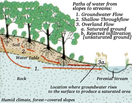 STREAMS hydrology or geo-hydrology is the study of streams or groundwater  Basic nature of steams Definition, origin and course of stream definition  and. - ppt download