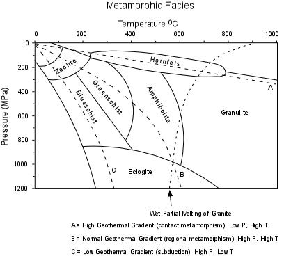 metafacies.gif