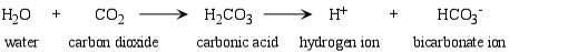 carbonicacid.gif