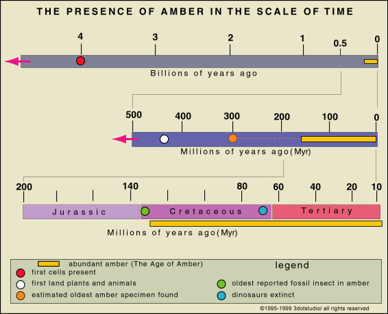 Amber, Definition, Formation, & Facts