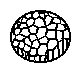 Honeycomb (wasp-nest and bee-hive shapes)