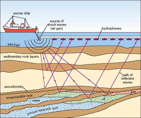 seismic survey