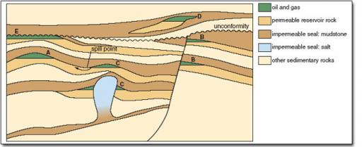 oil traps