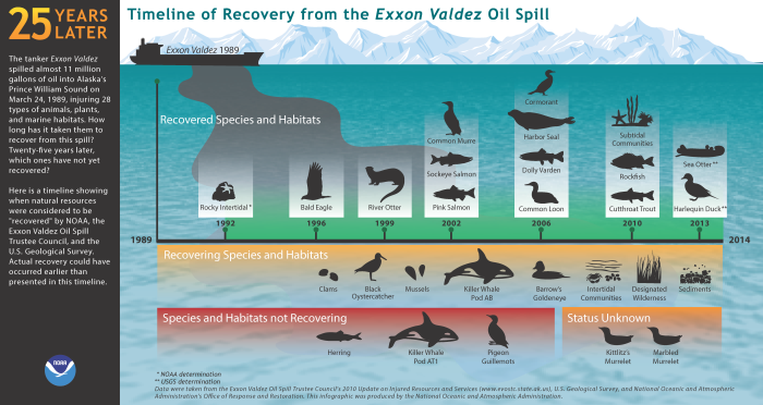 spill timeline