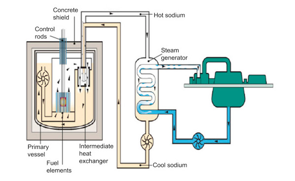 fast neutron reactor