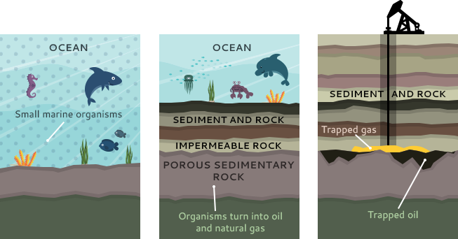 Crude oil & petroleum products » Geology Science