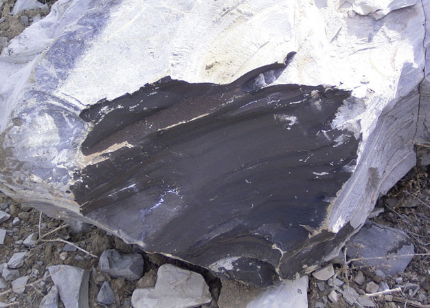 oil shale