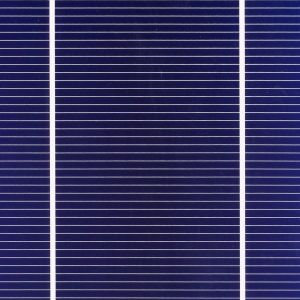 monocrystalline cell