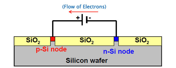 electron flow in cell