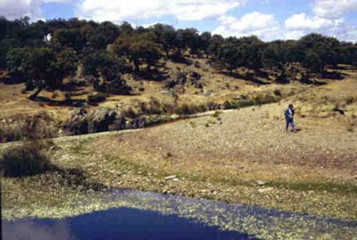 Photo of river ber with typical pastureland in the background. River sediment was sampled here for chemical analysis.