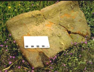 Photograph of a fragment of a Roman roof tile. The distinctive heavy raised edge is characteristic of the Roman era.