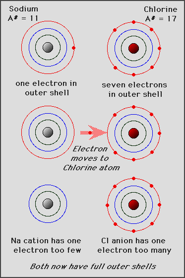 sodium chloride (salt)