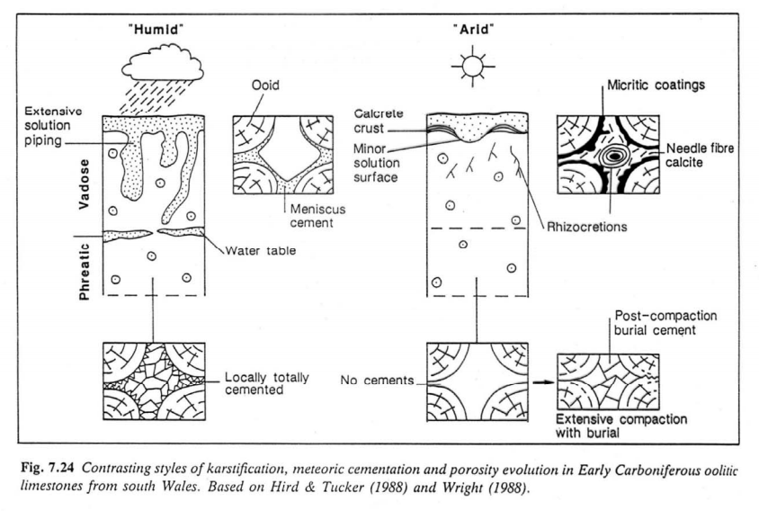 climate related features in limestone