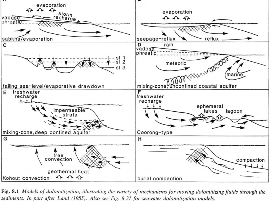 models of dolomitisation