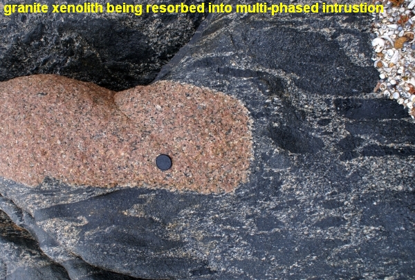 granite xenolith in multiphase intrustion