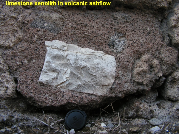 limestone xenolith in volcanic ashflow
