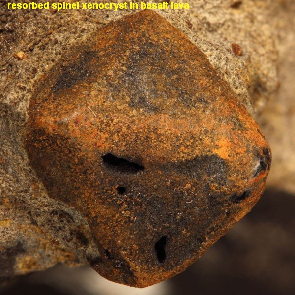 resorbed spinel xenocryst in basalt lava