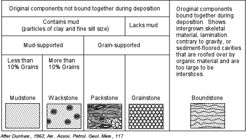 dunham classification