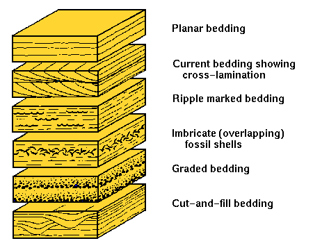 types of bedding