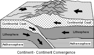 contcontcoll.gif