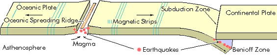 platecrust.gif