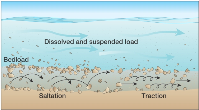 types of sediment movement