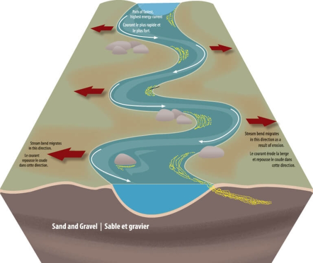 Means (SEs) of stream physical characteristics outside (grazed