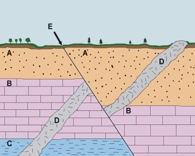 Law of Original Horizontality