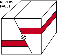 REVERSE FAULT