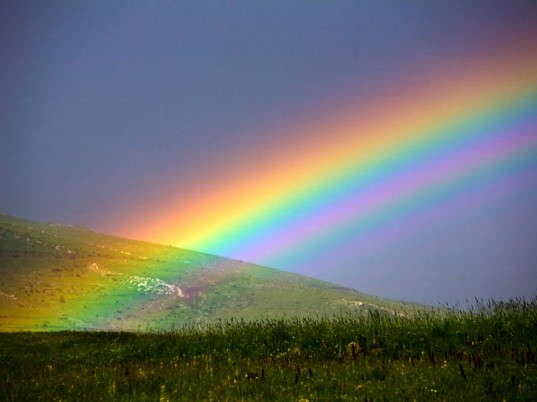 RAINBOWS