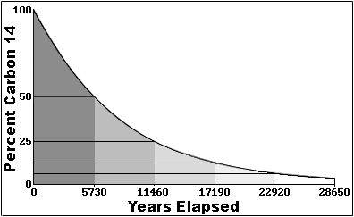 half life chart