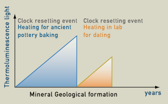 exposure to light resets clock