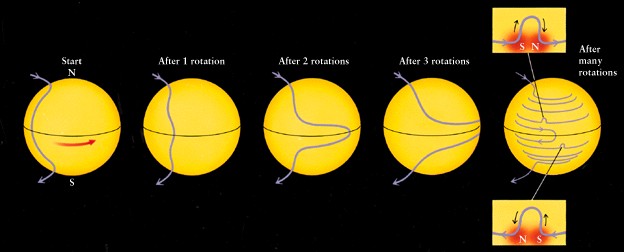 dynamo theory of sunspots