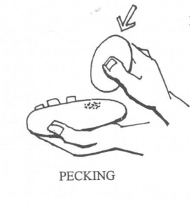 Pecking