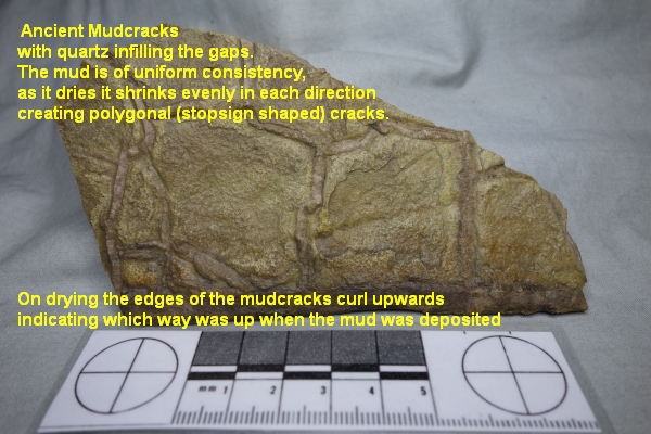 mudcracks explained