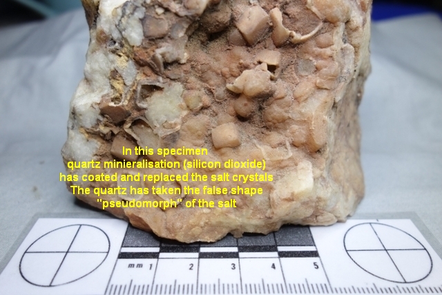 quartz pseudomorph after halite (salt