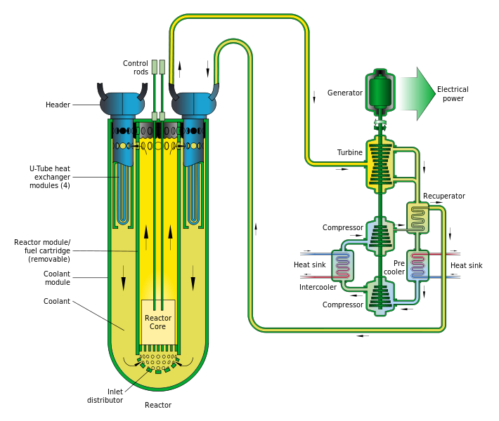 liquid metal cooled reactor